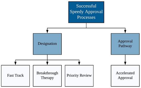 Orphan Drugs Understanding The FDA Approval Process Academic