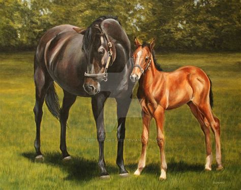 Mare And Foal At Stud By Stephanie On