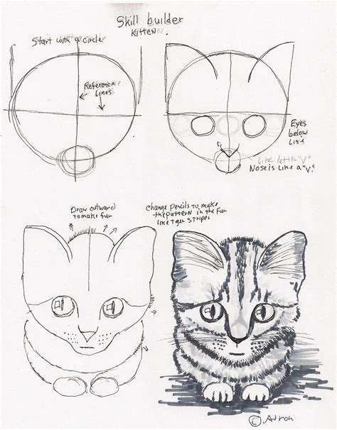 Step By Step Cat Drawing Easy Drawings Cute Drawings Animal Drawings