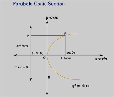 Conic Section Formula Definition Parameters Terms Examples