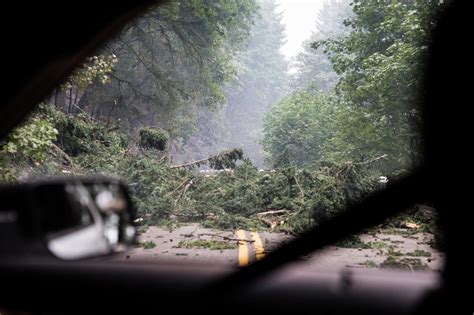 Aftermath Photos Of Multnomah Falls Fire In Columbia River Gorge