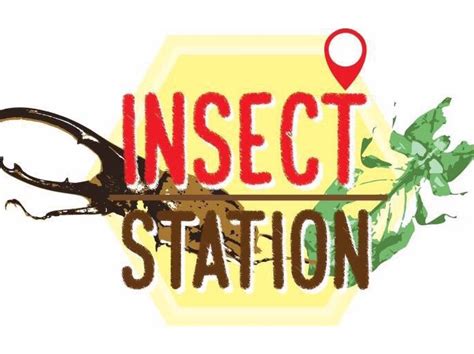 Insect Station Band Page