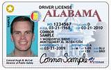 Al Drivers License Test Pictures