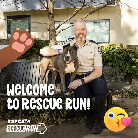 Set The Pace For Animal Welfare With Rspca Rescue Run Rspca Nsw