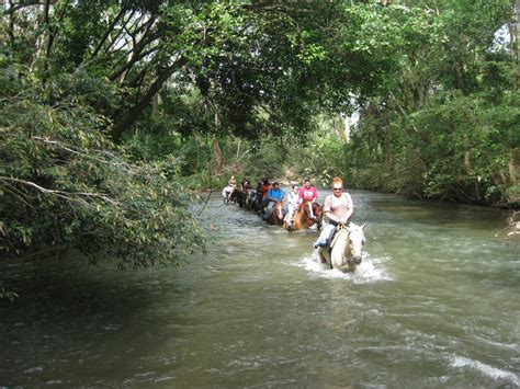 Horseback Riding River Attachment Your Belize Experts