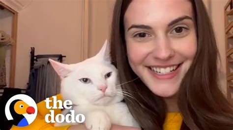 Woman Buys House And Finds Out It Comes With 4 Cats The Dodo Youtube