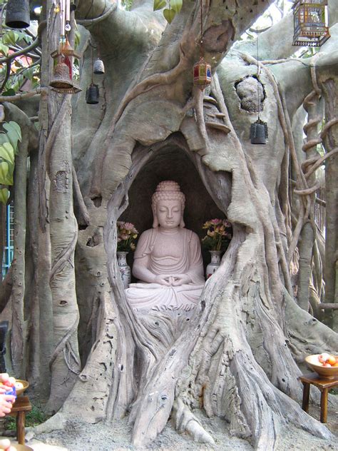 It is said to be the tree under which gautama buddha the bodhi tree has a very long lifespan, ranging between 900 and 1,500 years. Buddha statue under Bodhi tree near Po Lin Monastery, Hong ...