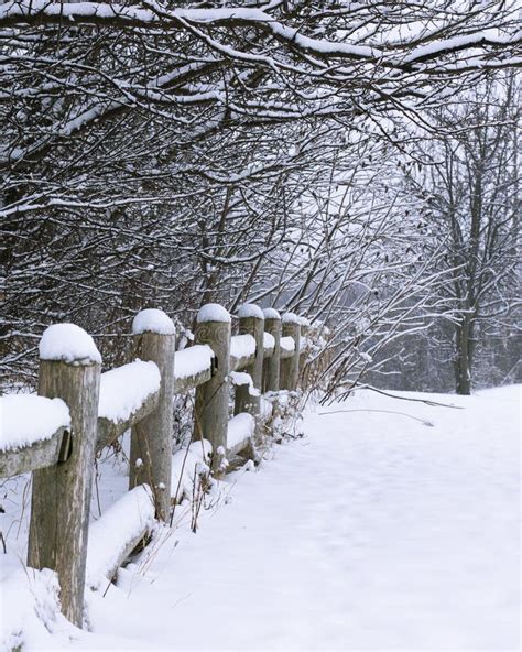 Snow Covered Rustic Fence Stock Image Image Of Fence 29116695