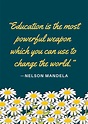 25 quotes that show why education is important