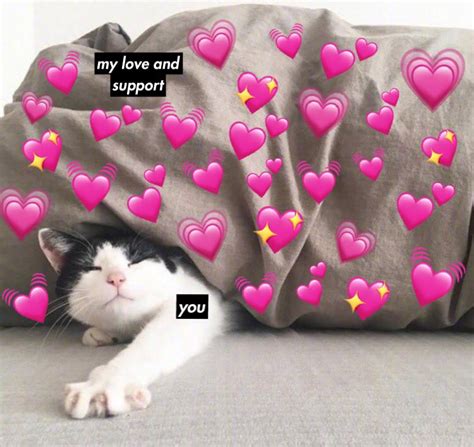 Cat Heart Memes On Twitter To Keep Your Day Wholesome And Sweet