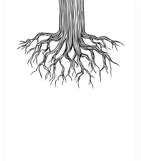 How To Draw A Tree With Roots Step By Step Ryan Fritzs Coloring Pages