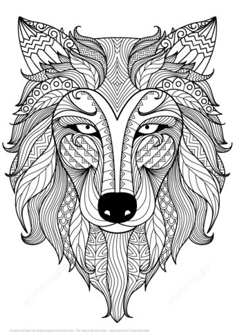 Ausmalbild märchen peter und der wolf zum ausmalen kostenlos ausdrucken. Wolf Zentangle coloring page | Free Printable Coloring ...