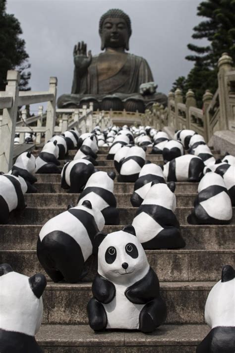 Panda Monium Hits The City Yp South China Morning Post