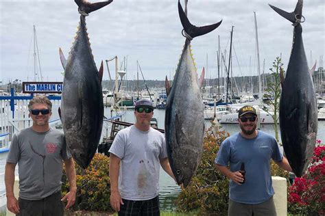 How To Fish For Bluefin Tuna In San Diego The Complete Guide Updated