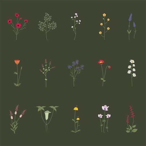 Illustrated Wild Flowers Premium Vector Rawpixel