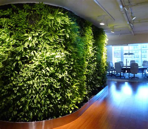 Indoor Living Wall Systems Start To Finish