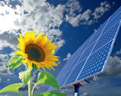 Energetyka słoneczna najbardziej obywatelską technologią produkcji ...