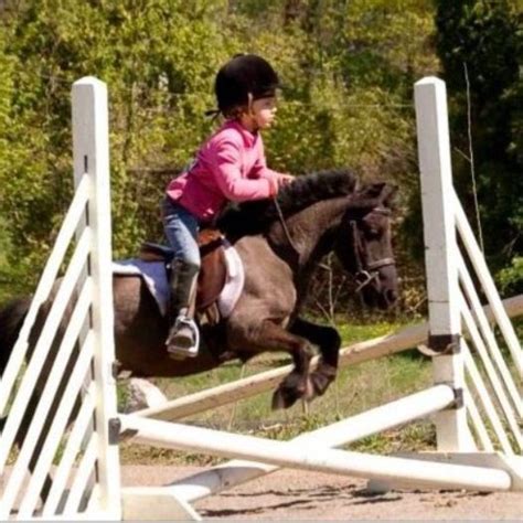 Sabrina And Hope Facts 103hh 12 Years Old Jumper And