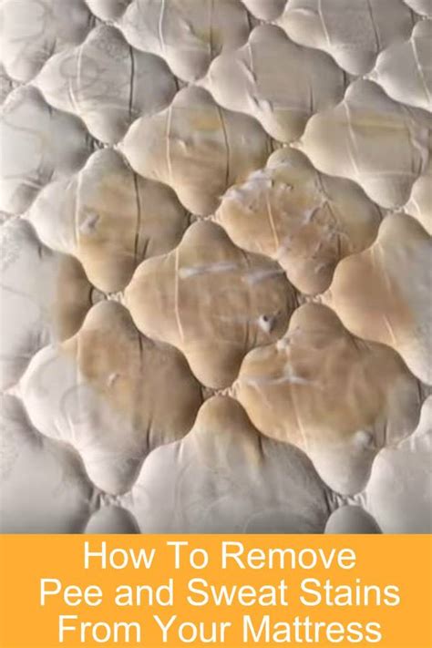 And remember, removing that mark or stain from your mattress could be the difference between a good night's sleep and a bad one. How To Remove Pee and Sweat Stains From Your Mattress ...