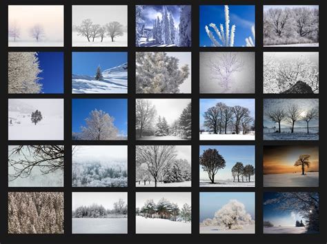 200 Snow Trees Photoshop Overlays Digital Textures Etsy