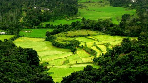 Gratis para usos comerciales ✓ no es necesario reconocimiento ✓. Top 20 Hill Stations in Kerala: Tour My India