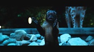 Il signore dello zoo Trailer HD - YouTube