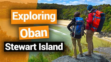 🗺️ Exploring Oban On Stewart Island New Zealands Biggest Gap Year