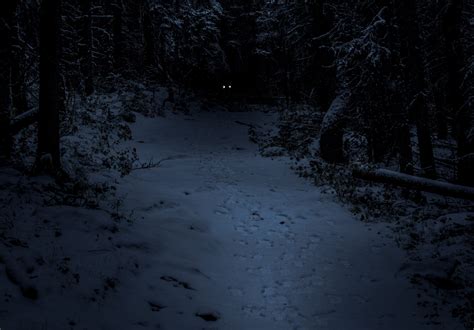 Dancing In The Dark — A Walk In The Woods At Night
