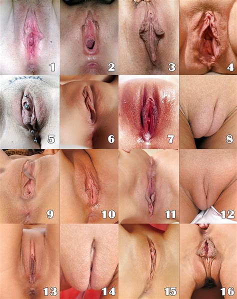 What S Your Favorite Type Of Pussy 8 Pics