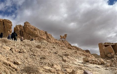 Le Oasi Di Tozeur Nel Deserto Del Sahara Nonni Avventura