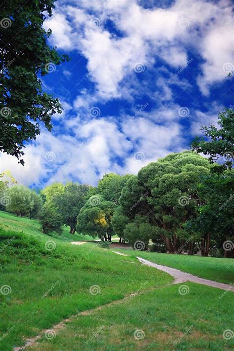 Green Forest With Blue Sky And Clouds Summer Day Stock Photo Image Of
