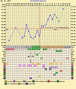 Basal Body Temperature Chart Positive Pregnancy Best Picture Of Chart