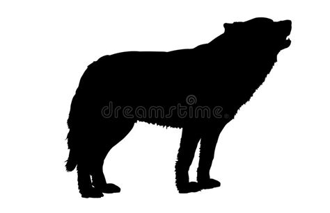 Howling Wolf Silhouette Stock Illustration Image Of