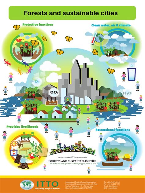 Forests And Sustainable Cities Poster Idf Infographicposter Pdf