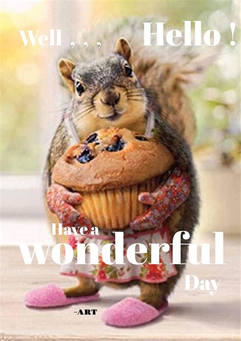 Funny Squirrel Pictures Funny Animals With Captions Squirrel Funny