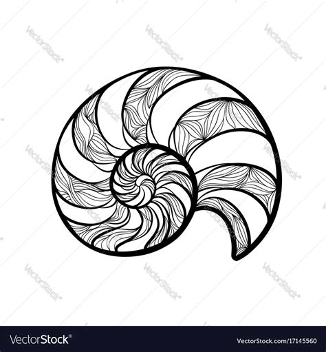 Seashell Nautilus Spiral Pattern Wave Nautilus Vector Image