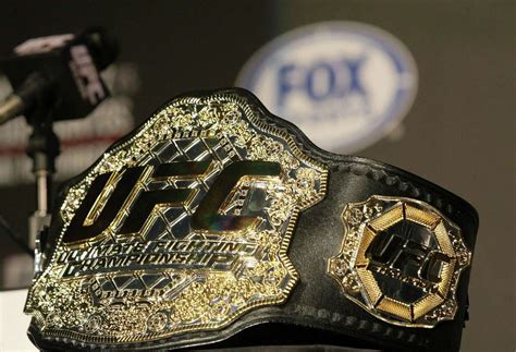 Mixed Martial Arts Entering The Ring For State Fight Fans Attention