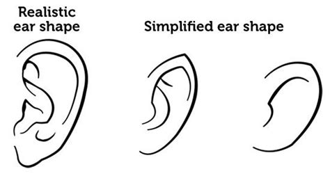 How To Draw Simplified Ears How To Draw Pinterest