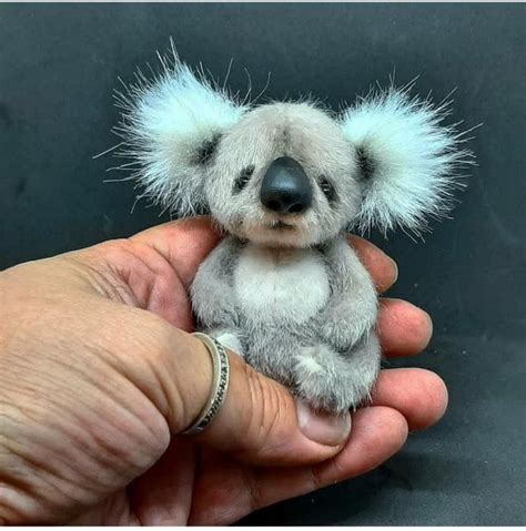 Baby Koala By Ekaterina Krivosvetlitskaya Tedsby