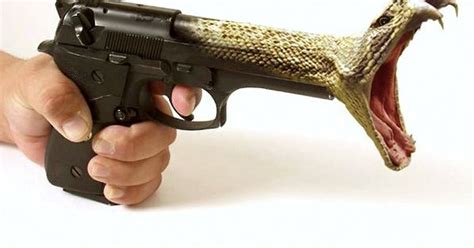 Snake Pistol Pictures Weapons Pinterest Pistols Pictures And Snakes
