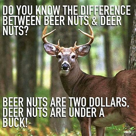 Hahaha Good Call Deer Hunting Humor Funny Deer Hunting Humor