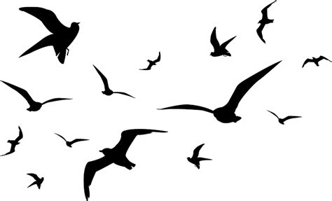 Flying Seagulls Silhouette Clipart Free Download Transparent Png