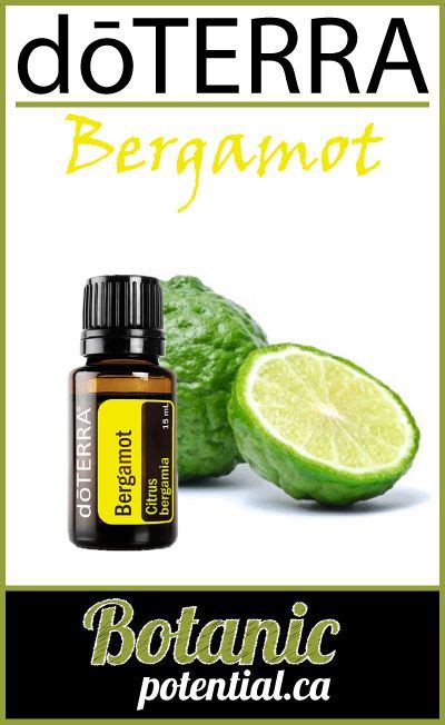 Bergamot Essential Oil By Dōterra Bergamot Essential Oil Essential