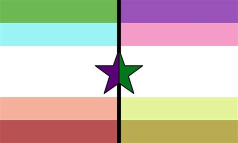 All Flags Pride Flags Gender Flags Flag Template Aries And Aquarius