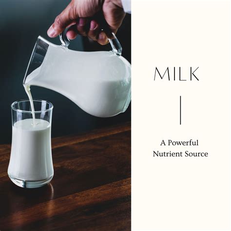 Health Benefits Of Drinking Milk Caloriebee