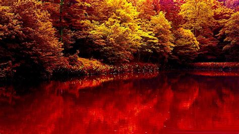 Nature Autumn Lake Forest Red Beauty Wallpaper 1920x1080 818171