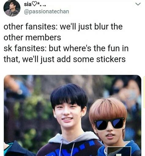 Stray Kids Stays The Members And The Fansite Share Only One Braincell