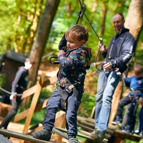 Days Out In The Lake District Windermere Go Ape Bikes