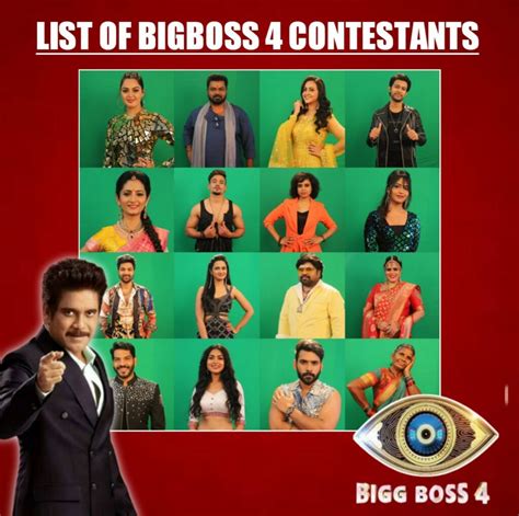 The Final 16 From Bigg Boss 4 Are Here Gulte