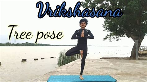 Vrikshasana In Telugu Tree Pose And Benefits Yoga For